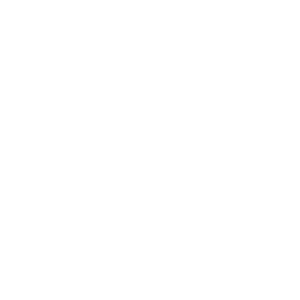 Icon sx